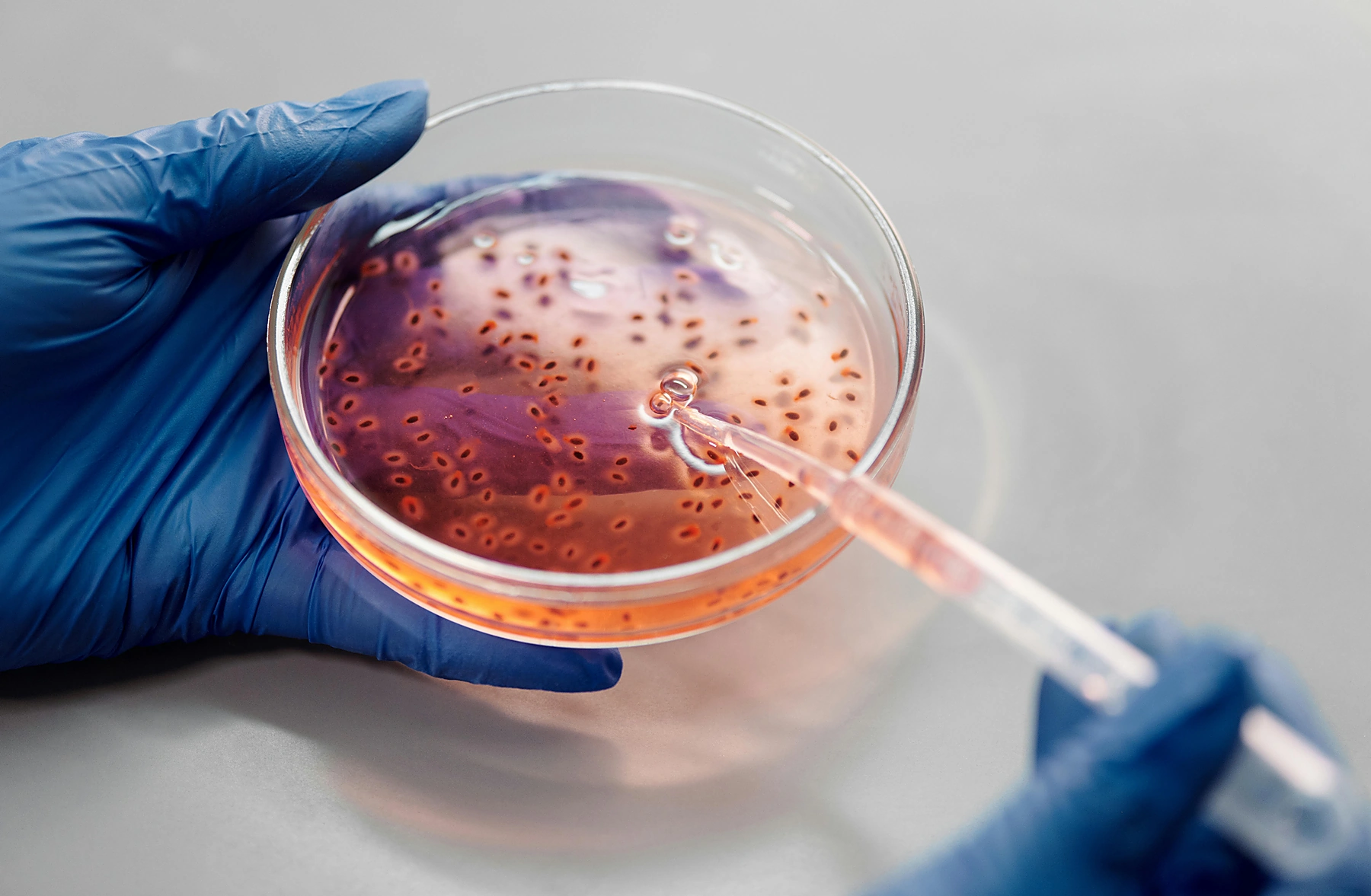 Control profesional de bacterias y microorganismos en un espacio interior